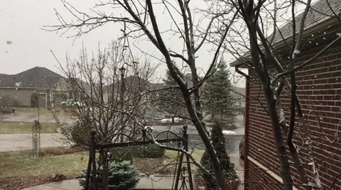 Snow Falling at 240 FPS Stock Footage 46316807