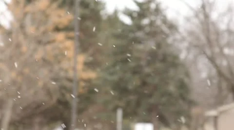 Snow falling 3 動画素材 14871493