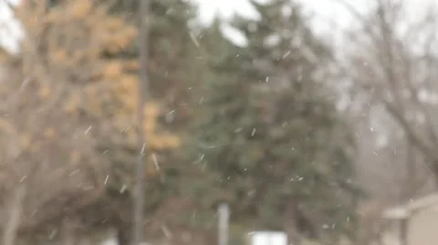 Snow falling 4 動画素材 14871429