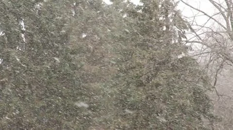 Snow falling 5 動画素材 14869111