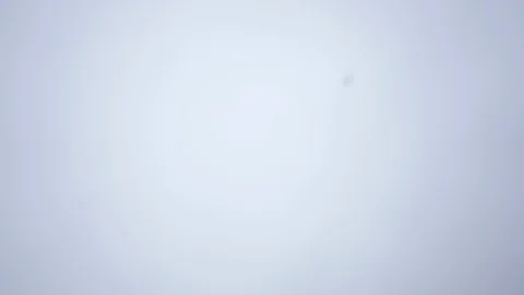 Snow falling, abstract slow motion shot with shallow depth of field Video stock 104900275
