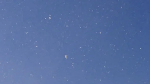 Snow falling against a blue sky, 4k Stock Footage 75409801