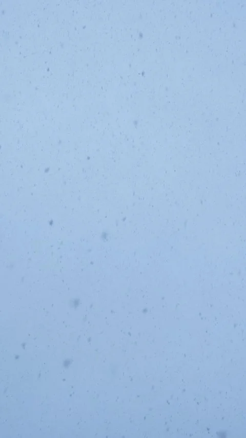 Snow falling against the blue sky. Stock Footage 262789059