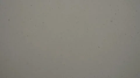 Snow Falling Against Gray Sky 004195 Stock Footage 8680485