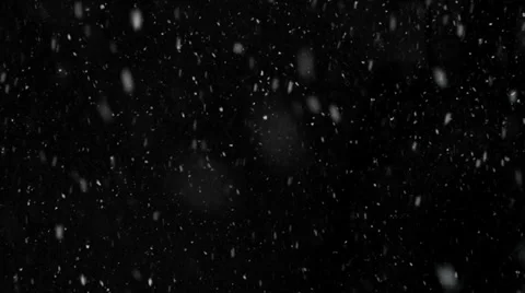 Snow falling aginst black backdrop slow motion 120fps Vídeos de archivo 33755931