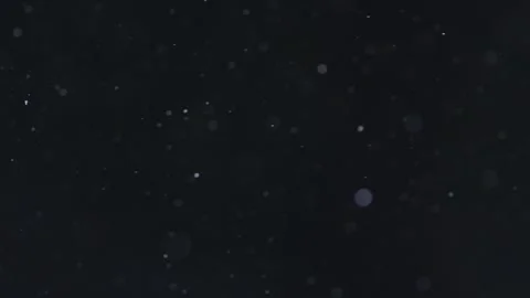 Snow Falling Aginst Black Backdrop Stock Footage 252829696
