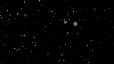 Snow falling with alpha channel Stock Footage 81089539