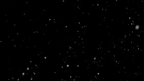Snow falling with alpha channel, looped Stock Footage 81404431