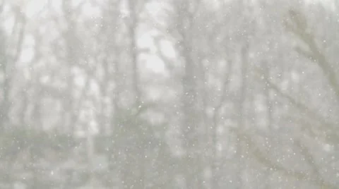 Snow falling and trees Stock Footage