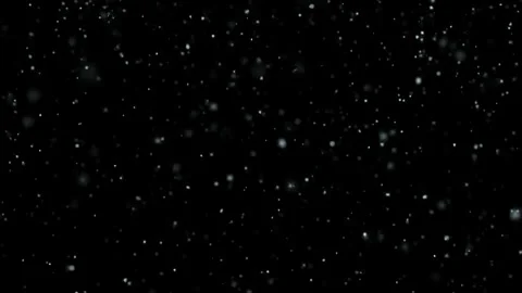 Snow Falling Animation Effect isolated on black background stock video Stock Footage 297430579