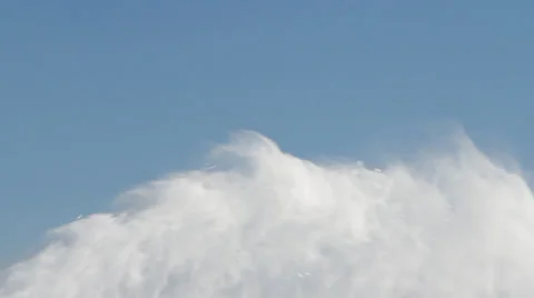 Snow is falling, appear trees Video stock 36679449