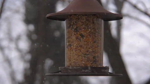 Snow Falling Around Bird Feeder in Slow Motion Stock Footage 232192794