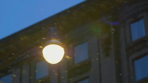 Snow falling around bright light lamp post in winter 08 Vídeo Stock 99066831
