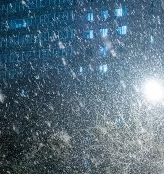Snow Falling Around Lamppost at Night Illuminating Snowy Trees Stock Photos