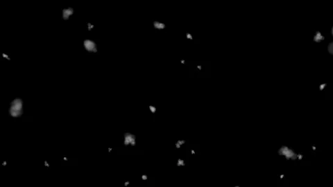 Snow Falling Away - Close Up - Seamless Loop Stock Footage 120873161