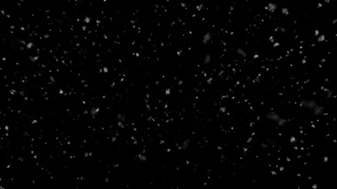 Snow Falling Away - Thick and Slow - Medium Shot - Loop Stock Footage 120873980