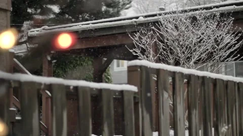 Snow falling in the back yard  with the backdrop of a fence and a tree and Stock Footage 59110714