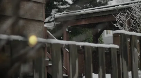 Snow falling in the back yard  with the backdrop of a fence and a tree and Stock Footage 59110762
