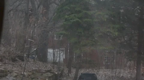 Snow falling in a back yard Stock Footage 48606549