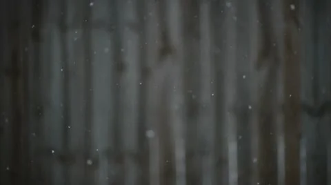 Snow falling backdrop Stock Footage 20521551