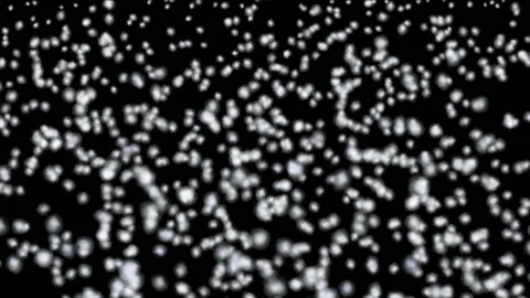 Snow Falling Background Animation 스톡 동영상 147961910