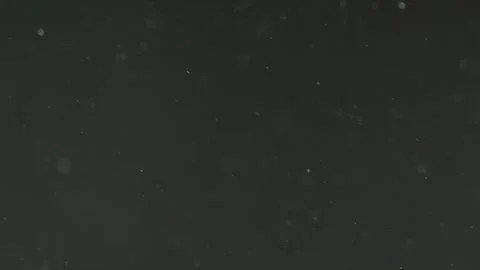 Snow Falling Background. Background Of Snow Fall Blowing Fast In Night Winter Stock Footage 252885203