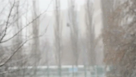 Snow is falling on the background of blurry trees. Winter season. A closeup of Stock Footage 119880081