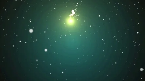 Snow falling background , Christmas tree card Stock Footage 70375488