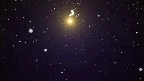 Snow falling background , Christmas tree card Stock Footage 70375544