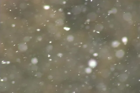 SNOW FALLING BACKGROUND Stock-Footage 137063