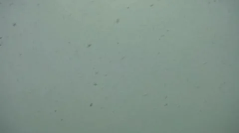 Snow falling background Stock Footage 10736009