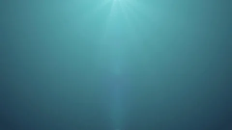 Snow Falling Background 스톡 동영상 73067550