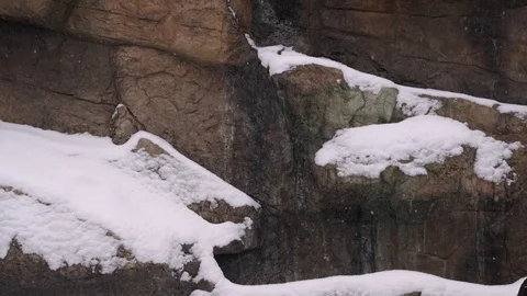 Snow is falling on the background of snowy rocks Vídeos de archivo 88254890