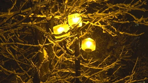 Snow falling on the background of street lights, slow motion Video stock 85568552