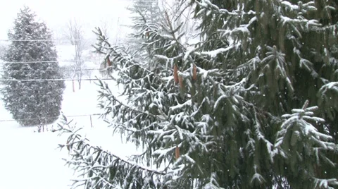 Snow falling in backyard Видео 35841094
