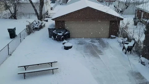 Snow Falling in Backyard Video stock 196133727