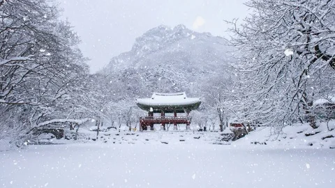 Snow falling at Baeyangsa,Naejangsan 스톡 동영상 85077393