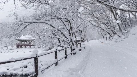 Snow falling at Baeyangsa,Naejangsan 스톡 동영상 85077430