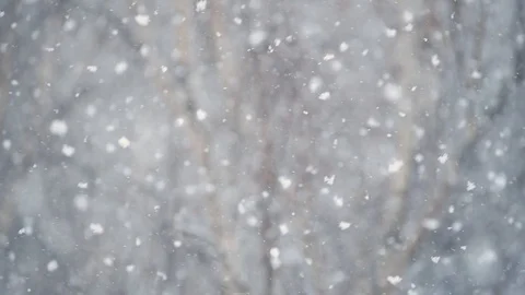Snow falling with a bare tree in the background Stock Footage 125863721