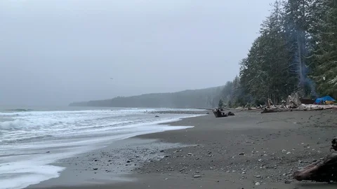 Snow Falling on BC Coast Canada Ocean Beach Travel Landscape Tourism Stock Footage 129627562