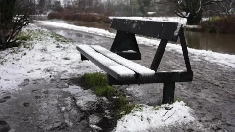 Snow falling on bench Vidéo 297186192