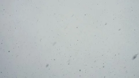 Snow is Falling in Big Flakes Stock Footage 292984708