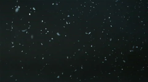 Snow Falling on black background  스톡 동영상 294248