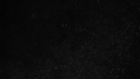 Snow falling on black background Video stock 81083869