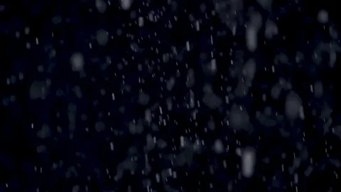 Snow falling on black background Stock Footage 81181049