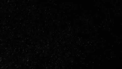 Snow falling on black background Stock Footage 81426237