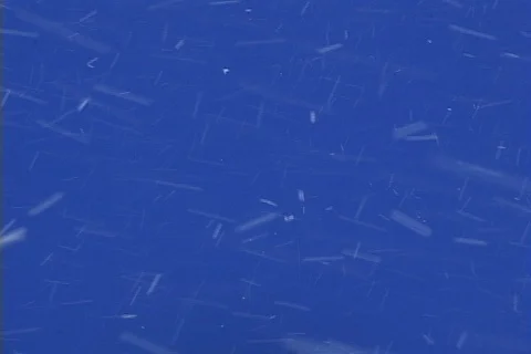 Snow falling blue background- moving dif directions Stock Footage 121542235