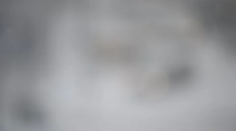 Snow falling on blurred background Stock Footage 47176508