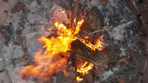Snow Falling on Burning Campfire in Winter Forest, Cozy Nature Mood Video stock 330279550