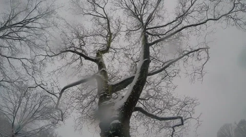 Snow falling onto the camera 库存影片 34651528